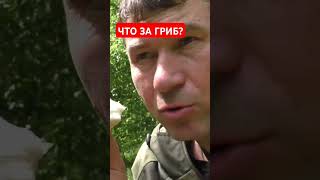 ЧТО ЗА ГРИБ ТАКОЙ? Кто знает?