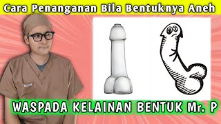 WASPADA! Kelainan Bentuk Pada Mr. P dan Cara Penanganannya || dr. Andi