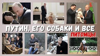 ПУТИН, его собаки и ВСЕ питомцы