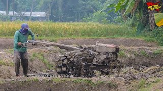 Traktor Sawah Berputar-Putar Di Lahan Kecil