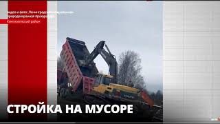 Межведомственная инспекция побывала в окрестностях деревни Лужицы