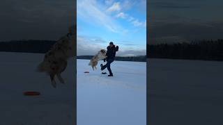 В Свободное от Готовки Время мы Ходим Гулять на Озеро 🐶