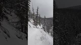 Winter In Canada 🇨🇦 A hike in the snow, Maligne Canyon. #jaspernationalpark #winterwonderland