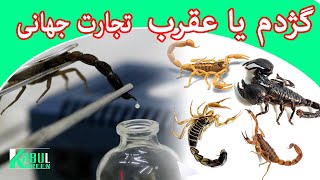 آیا از گژدم یا عقرب معلومات دارید؟