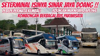 Bisa Gitu⁉️Seterminal Isinya Cuma Sinar Jaya Banjarnegara Doang‼️Masih Ramai Bus Pariwisata