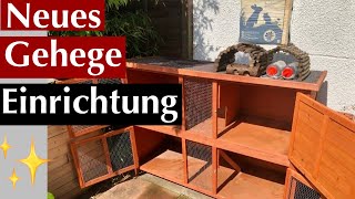 Neue Gehege/aufbauen Einrichtungen einziehen 🌺/Kaninchenbande ✨