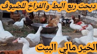 يا اهل مصر البيت مليان أفضل ما يكون فاضي يلا نملا البيوت زي زمان