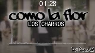 Como la flor - LOS CHARROS - (Remix) - DJ  Danny!