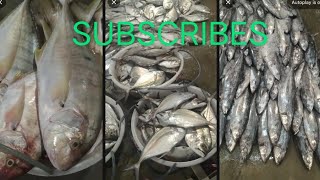 ang sarap ng mga isda,dami na naman🥰🙏 #subscribe #fish #fishing #everyone @jonathansascvlog