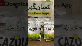 Raya Seed | Sarsoon seed | Toria Seed | Mustar Seed | four brothers | Kissan Ghar | Cazola Seed