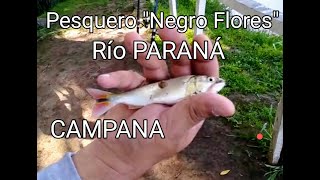 PESCA MUNDIAL EN LO DEL NEGRO FLORES