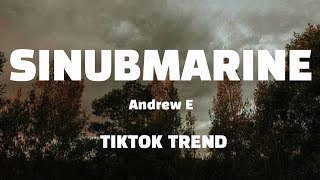 Sinubmarine - Andrew E (Lyrics)||Tiktok Trend Dance Music