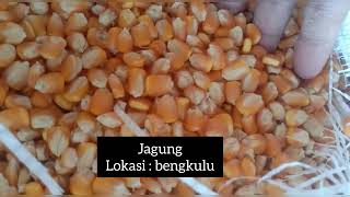 kacang hijau, jagung, kemukus