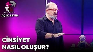 Kadın ve Erkek Cinsiyeti Nasıl Oluşur? | Sinan Canan ile Açık Beyin