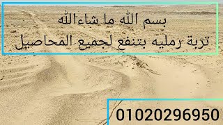 ارض بكر علي مساحة 30فدان فالواحات البحرية بملف تقنين بها  سكن وبير عمق100متر رقمي للتواصل01020296950