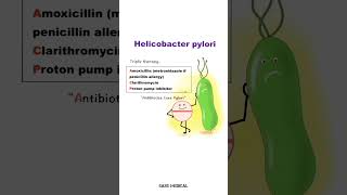 Easy way to know treatment medicines for Helicobacter pylori ! #mnemonics @Easemedical