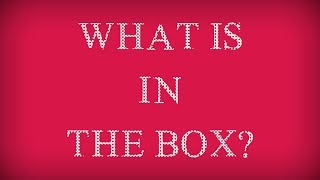 Yi Technology: What is In the Box | YI Dome Camera X