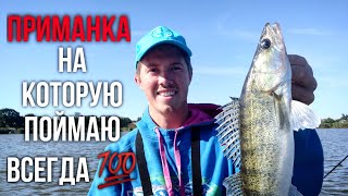 Одна ПРИМАНКА сводит рыбу с ума! Ловля судака осенью. Карась на спиннинг.