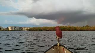 Old Video from before I had a boat! Fishing on the Cotee.#canoe #boat #gulf #beautiful #beauty