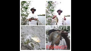 Bluegill and Shellcracker Fishing From a Dock #fypyoutube #fish #fishing #bluegill #explorepage