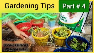 Global Gardening Tips Part # 4 - Plantation Tips and Tricks | Food Secrets by Saima