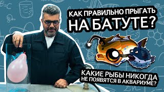 Почему нельзя прыгать на батуте вдвоем? / Проверено наукой