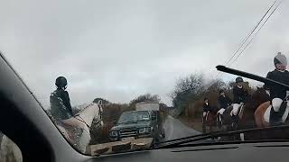 cross country hunting horse's with the lads winter irish tradition #cross contry #on the road