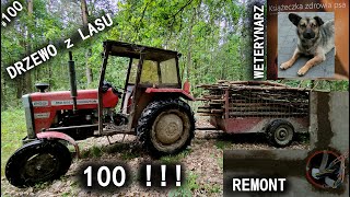 Siedlisko - reanimacja odc.100 "dużo leśnie i trochę remontowo"