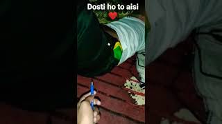 Dost ho to aisa❤️ #shorts #friends #friendship #viral