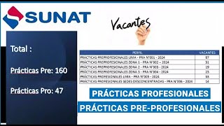 BALOTARIOS PRACTICAS PROFESIONALES Y PREPROFESIONALES SUNAT 2024 BASES DEL PROCESO DE SELECCION