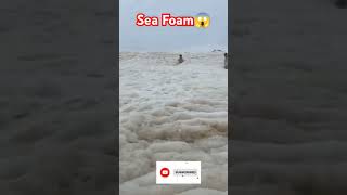 Sea Foam 😱#facts #factsinhindi #amazingsfacts #shortsfeed #youtubeshorts #shortviral #shorts