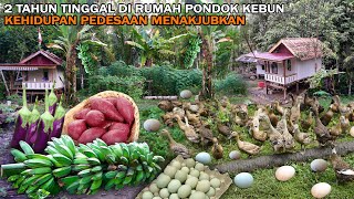 KEHIDUPAN DI DESA 2 TAHUN TINGGAL DI RUMAH PONDOK KEBUN MENYAMBUNG HIDUP DENGAN BERTANI & BETERNAK