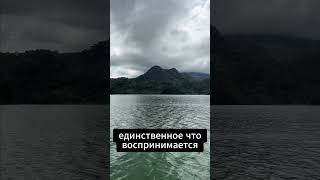 Начни воспринимать течение жизни | Рома Косточка - ЯСНОЛОГИЯ