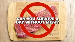 Can You Survive A Day Without Meat? | Dr Asif Munaf x Hamza Tzortzis