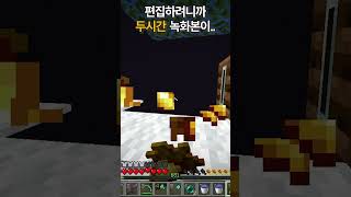 녹화망했네 #shorts  #minecraft #마인크래프트