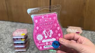 Scentsy Club Haul | September 2024