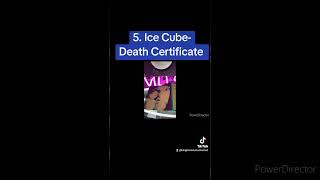 5. Ice Cube- Death Certificate