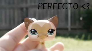 Lps/ Music Video/ Perfecto♡