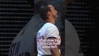 What does the CM in CM Punk stand for? It may surprise you! #wrestlingmemes #wwe #cmpunk