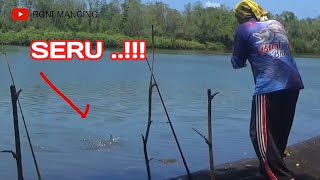 MANCING BELANAK BABON TEHNIK DASARAN di MUARA SUNGAI SERU.