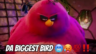 IM DA BIGGEST BIRD