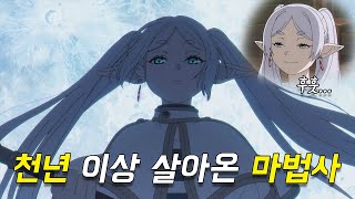 엘프 종족으로 판타지 세계 정점을 찍는다면?🔥넷플릭스 1위🔥[애니리뷰]