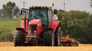 Prace pożniwne 2020 ✩ Oprysk i talerzowanie ✩ Massey Ferguson ✩ Case ✩ Wielkopolska