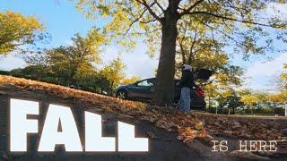 fall is here | fpv freestyle