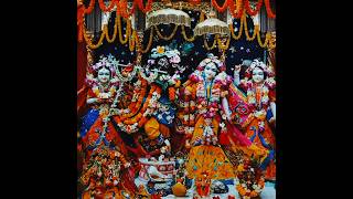 #radheradhe #radhakrishna #radhekrishna #radheshyam #radharani #radhe #shorts