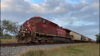 3 Trains On The CPKC Laredo Sub