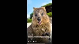 Twitter Australia launches Moments downunder