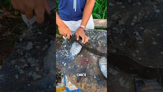 Amazing !! Fish Cutting Skill Do You Know This Fish? #shorts