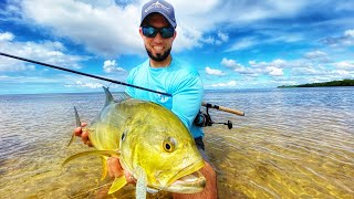 Hooked up at the SANDBAR and Mahi goes CRAZY #YoutubeShorts #Shorts