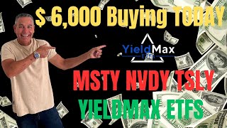 YieldMax ETFs $ 6,000 Buying TODAY 9/5/24 MSTY NVDY TSLY